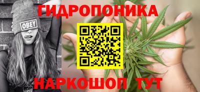 твердый Берёзовский
