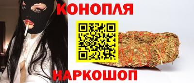 прущие грибы Бийск