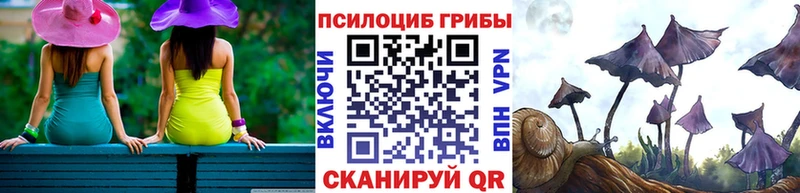 Галлюциногенные грибы Magic Shrooms  Котельники 