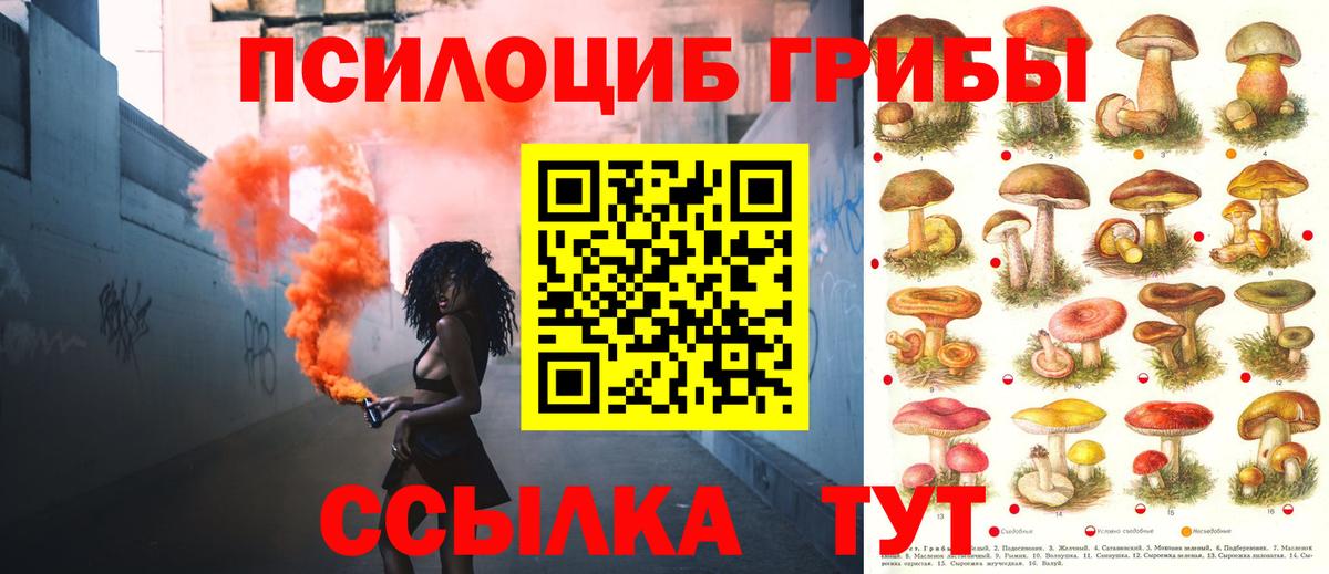 купить наркоту  Псилоцибиновые грибы прущие грибы  Галлюциногенные грибы мухоморы  Вход с VPN  Котельники 